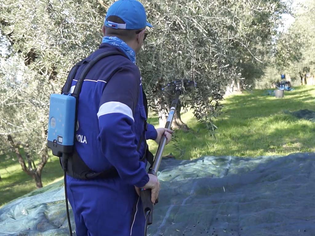 Rete per la raccolta delle olive targata Campagnola, made in italy